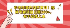 中老年人都是在闷声发财，微信视频号最新项目日入好几张，两双手就可进入车内