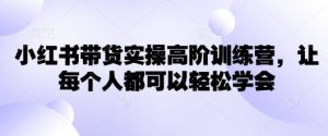 小红书的卖货实际操作高级夏令营，让所有人都能够快速掌握