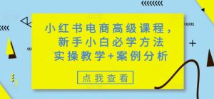 小红书电商高级课程，新手入门必会方式，实际操作课堂教学 经典案例