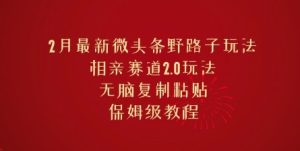 2月全新头条歪门邪道游戏玩法，相亲约会跑道2.0游戏玩法，没脑子拷贝，家庭保姆级实例教程
