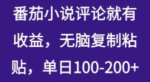 番茄小说评价就会有盈利，没脑子拷贝，单日100-200