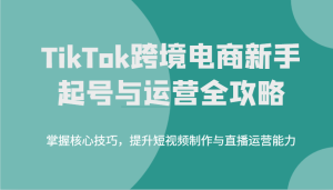 TikTok跨境电子商务初学者养号和运营攻略大全，掌握核心方法，提高小视频制作与抖音运营水平