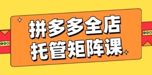 拼多多平台店铺代管引流矩阵课，赢利促销游戏玩法，高效率方案设定，提升店铺经济效益