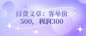 付费文章：客单量500，盈利300