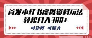 首发小红书虚拟资料玩法，可矩阵，可放大，轻松日入3张