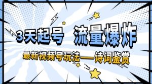 一天收益多张，微信视频号最新生态—古诗鉴赏，3天必起，总流量发生爆炸，新手也可以快速上手