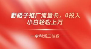 0门槛推广流量卡，一单收益上百，0投入，小白月入过W