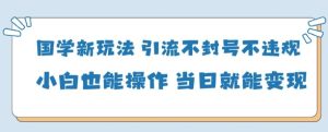 国学经典新模式，引流方法防封号不违规新手也可以操控，当日就可转现