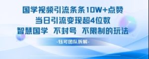 国学视频引流管条10W 关注点赞当日引流变现超4个数