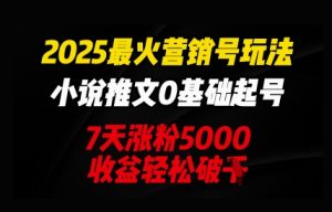 2025最红营销帐号游戏玩法：小说推文0基本养号，7天吸粉5000，盈利轻轻松松破k