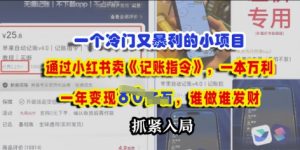 一个小众要求，根据小红书的卖《记账指令》，一本万利，谁做谁发，赶紧进入