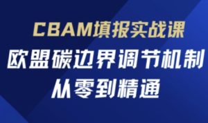 CBAM填写实战演练课，欧盟国家碳界限调控机制，从零到熟练