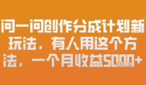问一问原创者分为方案全新游戏玩法，新手也能快速上手，月入6k