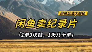淘宝闲鱼纪实片1单3元钱，1天几十单，新项目平稳有希望