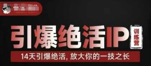 点爆绝技IP夏令营，14天点爆绝技，变大你一技之长
