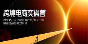 跨境电子商务实际操作营：自建站/TikTok/谷歌广告/YouTube，精确选款与高效引流方法