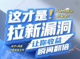 巨头不愿讲的隐秘，这才是真正引流系统漏洞，使你盈利一瞬间翻番