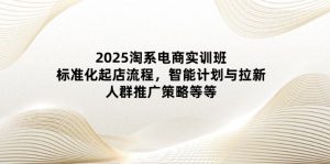 2025淘宝电子商务实培训班：规范化出单步骤，智能化计划和引流，群体营销推广策略等