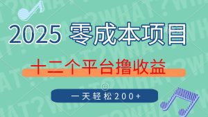 2025年零成本新项目，十二个服务平台撸盈利，运单号一天轻轻松松200