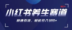AI 可画形成小红书的健康养生著作，初学者暴力行为养号，引流矩阵实际操作，轻轻松松日入3张