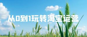从0到1玩转淘宝运营！全流程拆解+实操步骤，助你打造爆款店铺