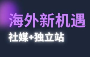2025出航机遇与挑战(社交媒体 自建站)，国外机遇与挑战，完成独立站的高效管理与出航