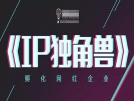 IP独角兽企业，卵化网络红人公司，ip实例教程