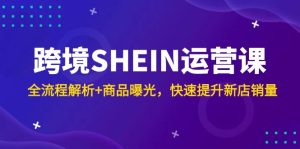 跨境电商SHEIN运营课，全过程分析 产品曝出，快速升级新店开业销售量
