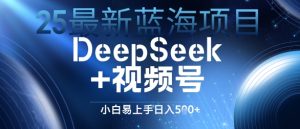25全新蓝海项目DeepSeek 微信视频号，新手上手快日入多张