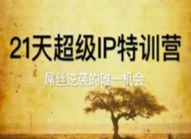 天非常IP夏令营，屌丝的逆袭的唯一机遇