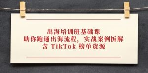 出航培训机构专业课，帮助你跑通出航步骤，实战案例拆卸，含 TikTok 排行榜网络资源