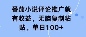 番茄小说评论推广就有收益，无脑复制粘贴，单日+