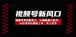 视频号带货新风口，AI模版暴力起号，小白也可以轻松上手，月入过W