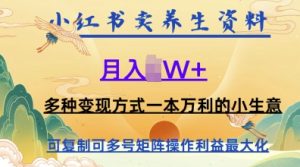 在小红书上卖养生资料，月入w+，多种变现方式一本万利的小生意