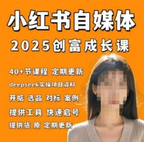 小红书电商自媒体平台财富课2.0版，实战演练打卡签到手记夏令营