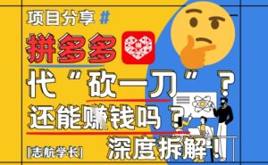 【2025全新】拼多多平台代坎助推新项目深层拆卸：还可以挣钱吗?全过程游戏玩法
