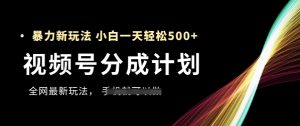 微信视频号分为方案，各大网站最暴力行为游戏玩法，初学者一天都可以轻松5张