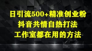 日引流方法500 精确自主创业粉，抖音视频同理心自然玩法，个人工作室都在用的方式