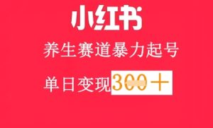 小红书的健康养生跑道，暴力行为养号，轻轻松松日入3张