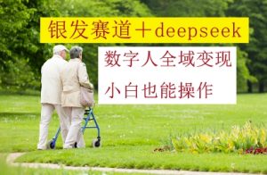 青发跑道 deepseek虚拟数字人示范区转现，新手也可以实际操作