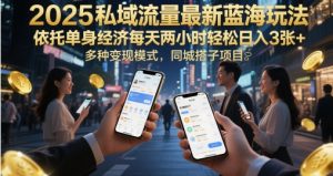 2025私域流量池全新瀚海游戏玩法，借助单身经济每日两个小时轻轻松松日入3张 ，多种多样变现方式，同城网搭单项工程