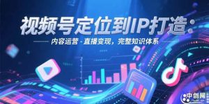视频号定位到IP打造：账号搭建-内容运营-直播变现，完整知识体系