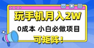 玩玩手机月入20000 ，0成本费新手必做工程，可引流矩阵