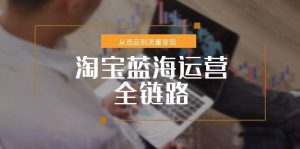 淘宝蓝海运营全链路，从选品到流量变现，小类目突围完整方案