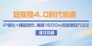 小视频4.0发展机遇：IP卵化 爆品写作，揭密1500w总流量爆品科学方法论