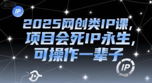2025网创类IP课，项目会死IP永生，可操作一辈子
