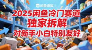 2025闲鱼平台小众跑道，独家代理拆卸，对新手入门特别友好