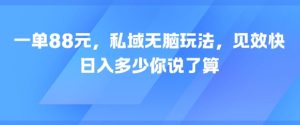 一单88元，私域无脑玩法，见效快，日入多少你说了算