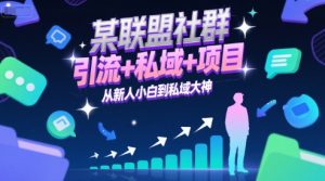 某联盟社群，引流+私域+项目，从新人小白到私域大神
