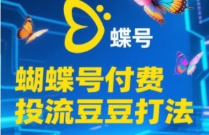 2025彩蝶号付钱投流毛毛玩法，助初学者快速上手付费推广撬起自然流的核心玩法